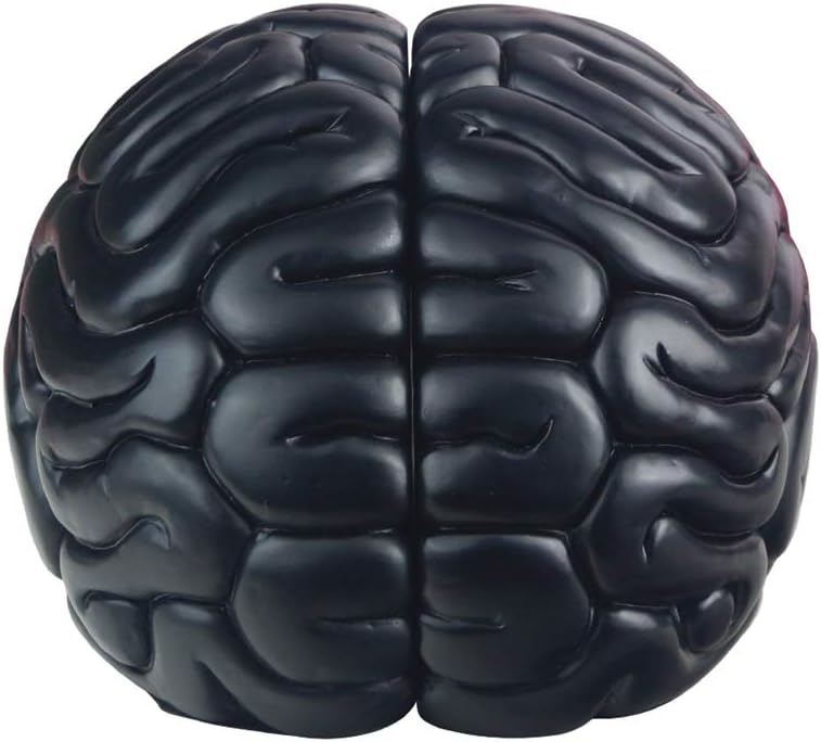 Carchistan Brain Bookends Novelty Book Holders - Image 4