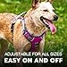 Embark Adventure Dog Harness, Reflective Trim No Pull Dog Harness Medium Sized Dogs - Military Grade Nylon, Front Clip with Gel Lined Handle.