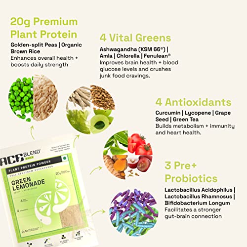 Image of Ace Blend DAILY 20G Premium Plant Protein & Superfoods | 60 Servings | Green Lemonade | Daily Protein | 4 Vital Greens | 4 Antioxidants | 3 Probiotics | Blended for all ages | 100% Gut Friendly