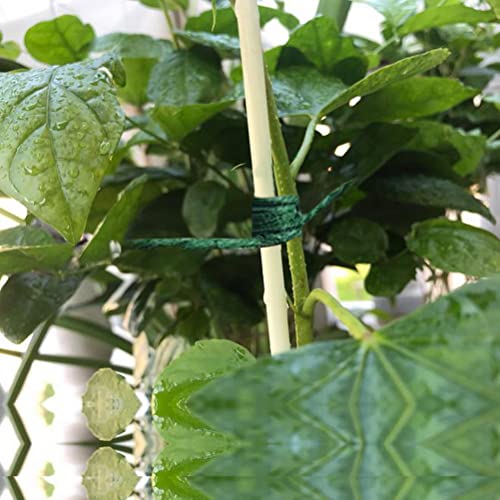 pengxiaomei 2 Rolls Green String Garden Jute Rope Natural String Rope Hemp Rope Jute Christmas Twine String for Gardening, Floristry, Bundling, Crafts(100m/328 FEET)