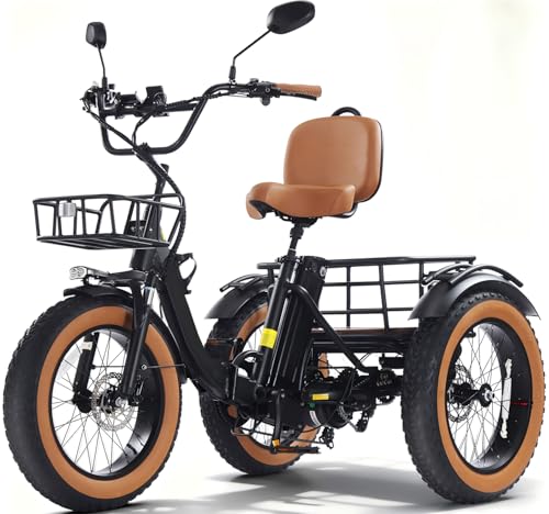 KAKIGO Electric Tricycle with Passenger Seat,Peak...
