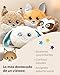 NICI cojín de Peluche GLUBSCHIS Lince Lenzo 32 x 32 cm Imagen de NICI cojín de Peluche GLUBSCHIS Lince Lenzo 32 x 32 cm