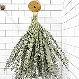 20 Pcs Dried Eucalyptus Bundle for Shower Head Hanging Plant Stems, 17' Natural Real Eucalyptus Home...