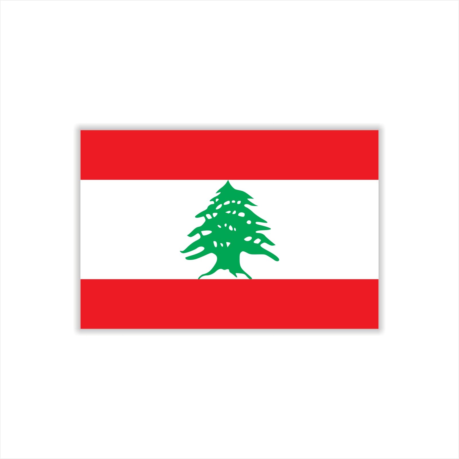 30 Sheets Lebanon Flag Temporary Tattoos Fans Face Tattoo Stickers for Adults Kids Group Activity Props