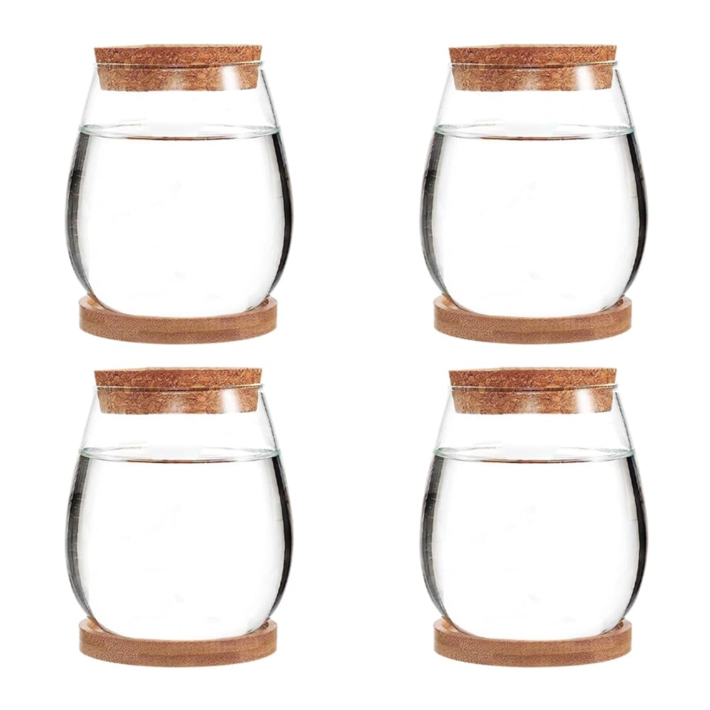 Mini pots en verre pour terrarium Cosmin : sublimez votre décoration de table de salon