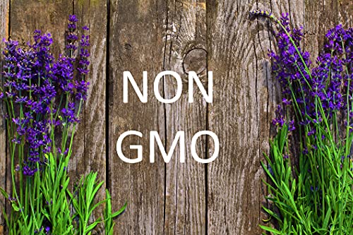 English Lavender Seeds For Planting Indoors Or Outdoors, 90% Germination, To Give You The Lavender Plant You Need, Non-Gmo, Heirloom Herb Seeds #TOP3