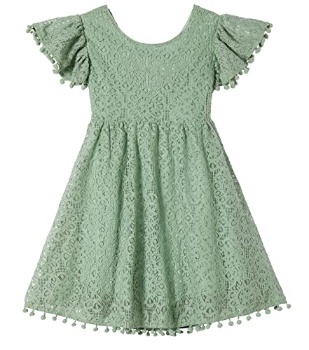 Toddler Girls Lace Dress Baby Kids Tie Back Bow Pom Pom Ruffle Sleeve Backless Party Princess Dresses2