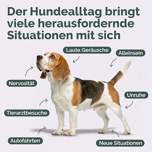 Vetura Beruhigungs-Formel für Hunde | 500 ml | Ergänzungsfuttermittel mit Baldrian, Kräutern & Magnesium | Zur Unterstützung in stressbedingten Phasen | Ohne künstliche Zusatzstoffe | Made in Germany