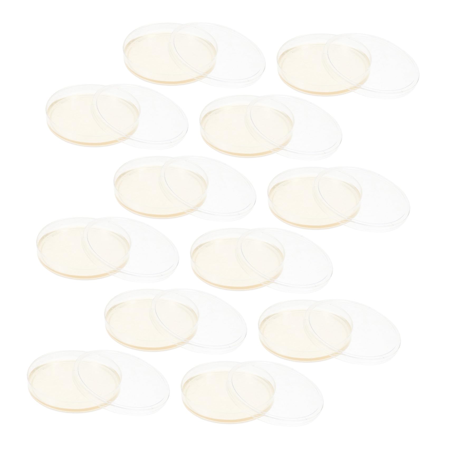 Placas de Petri Tapas Herméticas 20 Pre-vertido de Agar Nutritivo de 9cm para Cultivo Celular y Hongos en Experimentos Científicos de Laboratorio