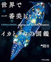 Sekai de ichiban utsukushii ika to tako no zukan 4767818044 Book Cover