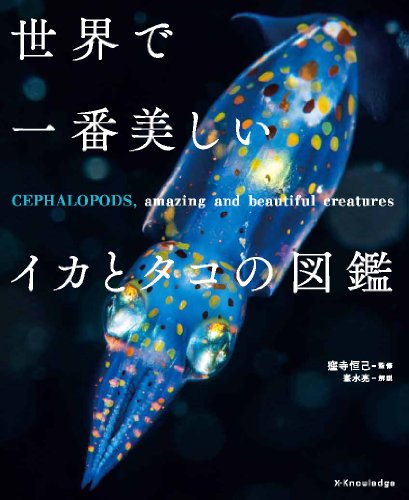 PDFダウンロード 世界で一番美しいイカとタコの図鑑 バイ