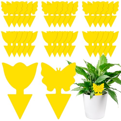 AiQInu 30 Pezzi Trappola per Moscerini, Gialle Trappola per Mosche Della Frutta, per Insetti Volanti Contro i Parassiti, Mosca Bianca, Afidi, Moscerini Fungini per Piante da Giardino