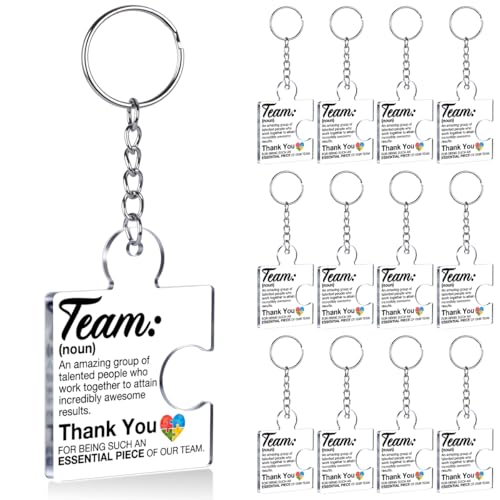 DRMNPKT Set of 12 Team Appreciation Gifts for Coworkers Bulk, Employee Appreciation Gifts Thank You...