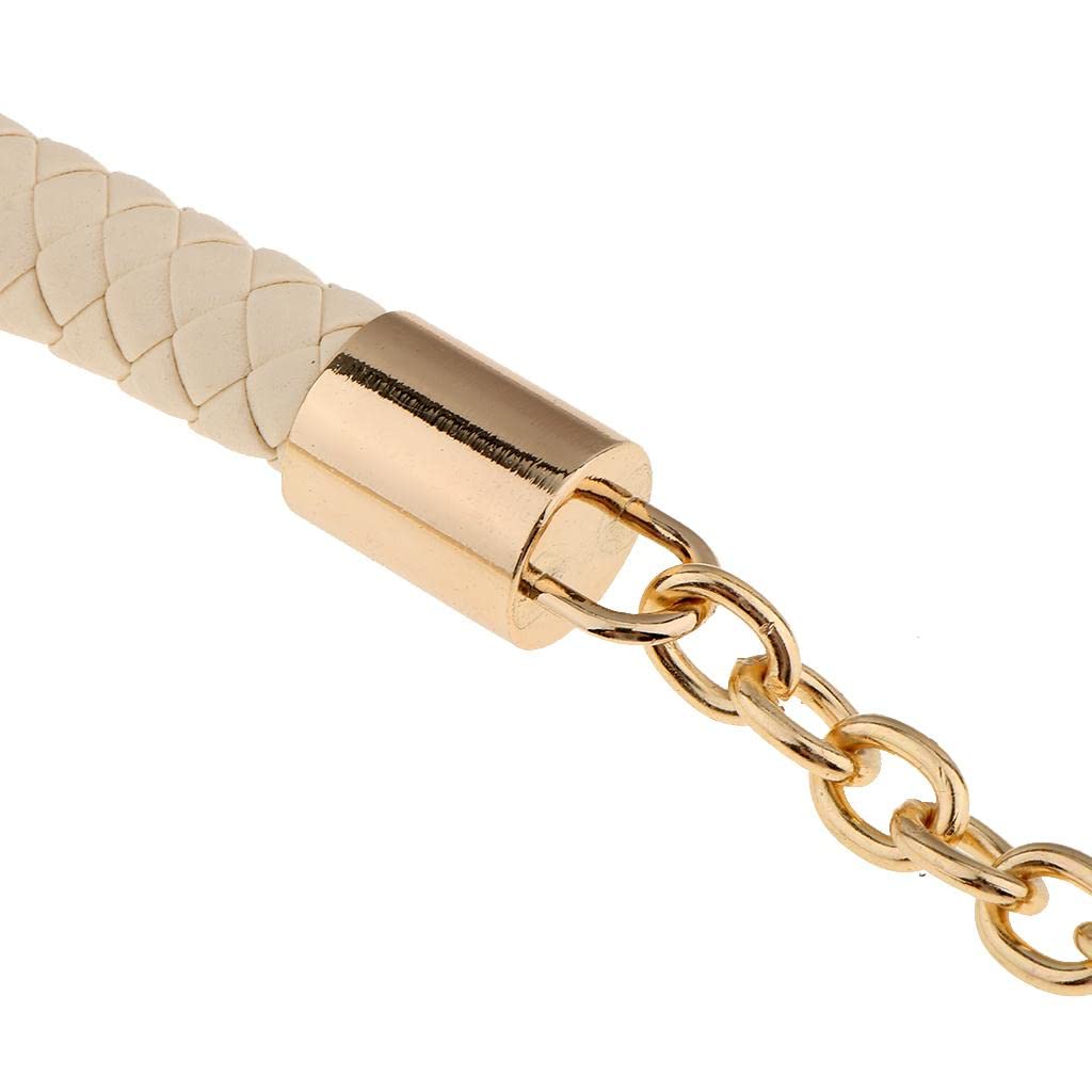 Coolty Chaîne De Sac à Main Sangles De Remplacement Pour Pour DIY