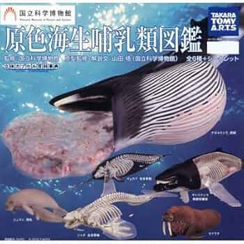 51V0Xq3mLZL._AC_UF350,