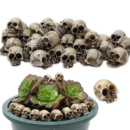 NHYDZSZ 20 peças mini decoração de caveiras, cabeças de esqueleto falsas pequenas, brinquedos realistas de resina, vaso para o Halloween