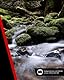 Canon RF Objektiv 14-35mm F4L IS USM – Ultraweitwinkel-Zoom mit 5-Stufen-Bildstabilisator für Landschaft & Architektur | Kompatibel mit EOS R System
