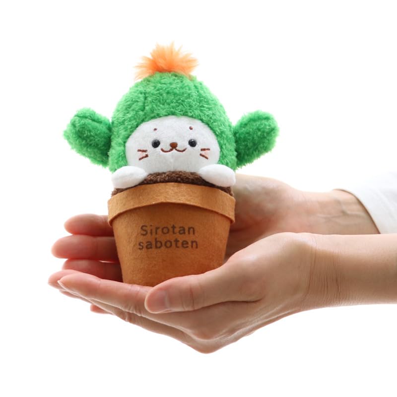 Amazon.co.jp: しろたん サボテン マスコット 《うちわサボテン