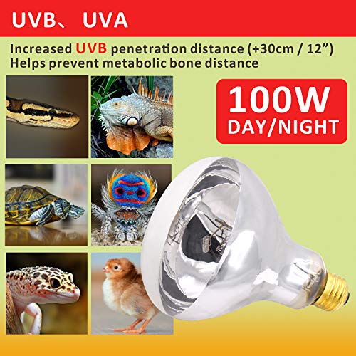 AIICIOO UVB Reptile Light 100W - UVB Light Bulb for Reptile Bearded Dragon Mercucry Vapor Bulb Basking Heat UVA UVB All in One Sun Lamp