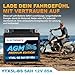 Electronicx AGM Motorradbatterie YTX5L-BS 12V 5Ah 85A – wartungsfreie, versiegelte, auslaufsichere, vibrationsfeste Starterbatterie – kompakt – für Motorrad, Roller, Quad und ATV geeignet