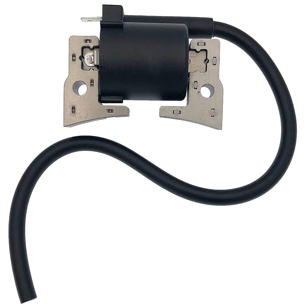 Realman 21121-2067 211212067 Module de bobine d'allumage pour moteurs Kawasaki 4 temps FE250D FE290D FE350D FE350G GE4000A GE4300A GE4500A GE5000A GEF00A GER30A
