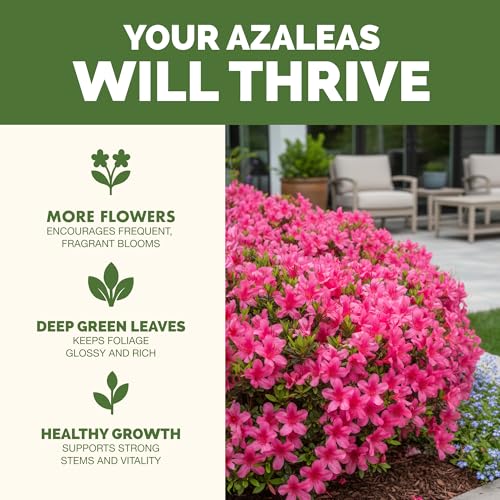 Fertilizante líquido para azaleas 8 oz miniatura 2