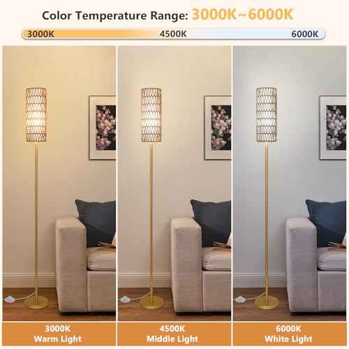 Lampadaire télécommandé et réglable Rayofly connecté par App avec ampoule incluse