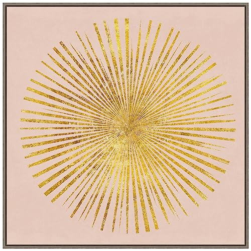 Amanti Art Framed Canvas Wall Art 30x30 Sunburst I on Pink by Wild Apple Portfolio, Framed Wall Art Canvas, Abstract Artwork, Country Rustic Decor, Large Poster Painting for Living Room, Bedroom,
