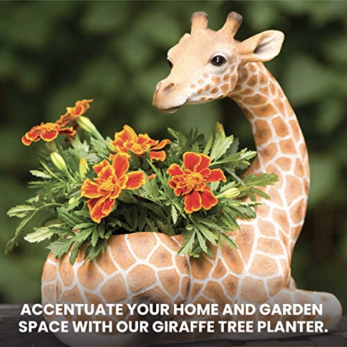 Bits And Pieces - Giraffe Planter - Yard Decorations - Wildlife Animal Urn For Plants - Indoor/Outdoor Decoration - Safari Inspired Yard Art #TOP6