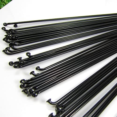 Raggi Per Ruota Bici Mountain Bike Set Di 20 Raggi Per Bicicletta 13G In Acciaio Inox 304 - Lunghezza 225mm Con Nipple In Rame Set Raggi Con Nipple Rame