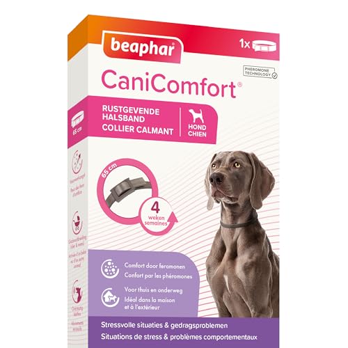 Beaphar Canicomfort - Collare calmante ai fenomoni, 1 unità per Cane, 65 cm