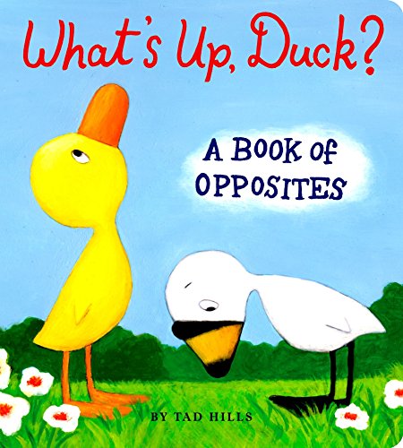 What's Up, Duck?: A Book Of Opposites (Duck & Goose) #TOP22