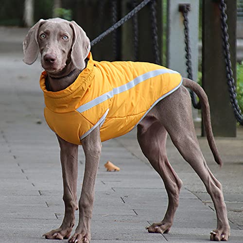 Hundemantel FEimaX – Wasserdichte und reflektierende Hundejacke