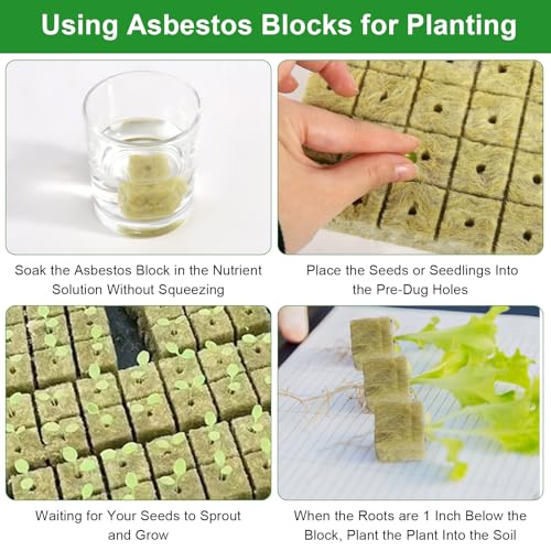 GOSHIES Steinwolle Anzucht 200 Stück Steinwolle Würfel 25x25x25 mm Rockwool Cube Anzuchtwürfel Stecklinge Anzucht für Stecklinge Anbau von Sämling Gemüse