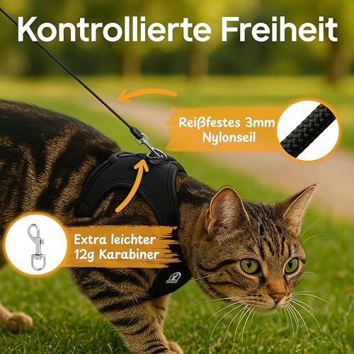 Tierhood Rollleine 3/5m für Katzen und Kleine Hunde - Leicht - Welpen bis 8kg