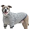 Tooth Honey Big Dog Stripe Shirt Pullover Full Belly Coverage Extra Large