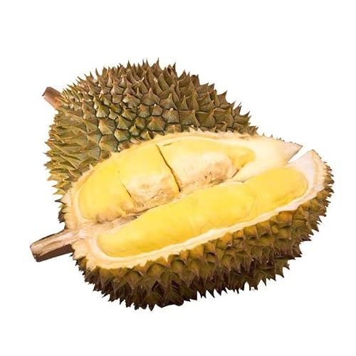 ^CY ֘@ihAjÂĔZȐlCibVNhAE썑t[cEpMtg (2i6?8j)