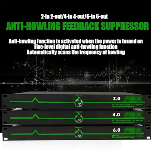 Suppresseur de feedback pour microphone de scène de performance et salle KTV - 2