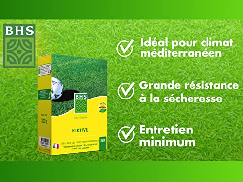 Gazon BHS Kikuyu semence pelouse méditerranéenne thermorésistante KIK300 - 2