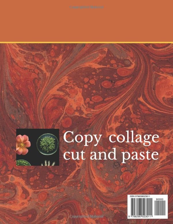 Plant Cell Structure Scissor Stories Book 6 cahier de découpage pour enfants - 3