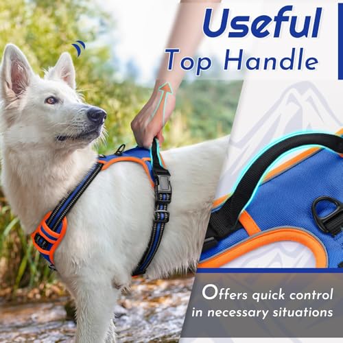 Image of Eagloo Dog Harness for Small Dogs, No Pull Pet Vest with 2 Leash Clips