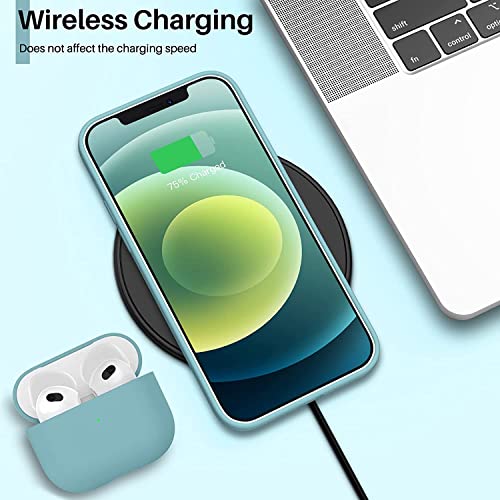 Image of DIZORO Microfiber Candy Case Compatible for iPhone 12 Smooth Touch Cushion Liquid Soft Silicone Gel Rubber Phone Cases Non-Slip Full Body Protective Shockproof Back Cover (Cactus)