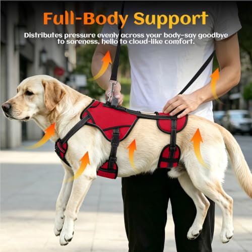 Image of NOYAL Dog Lift Harness, 2-in-1 Support Sling for Senior & Injured Dogs