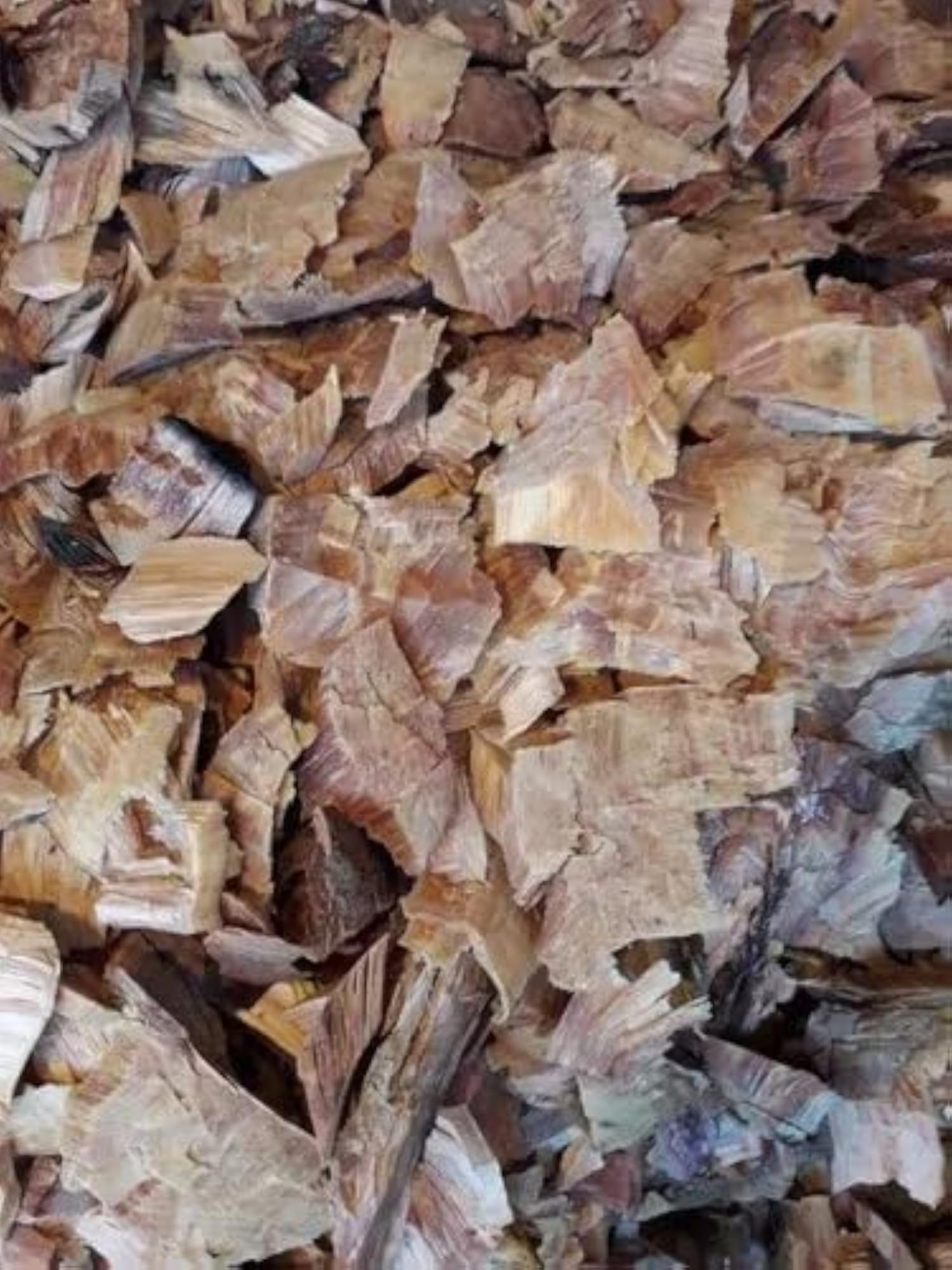 Devdhar Cedar Wood Deodar 1 Kg