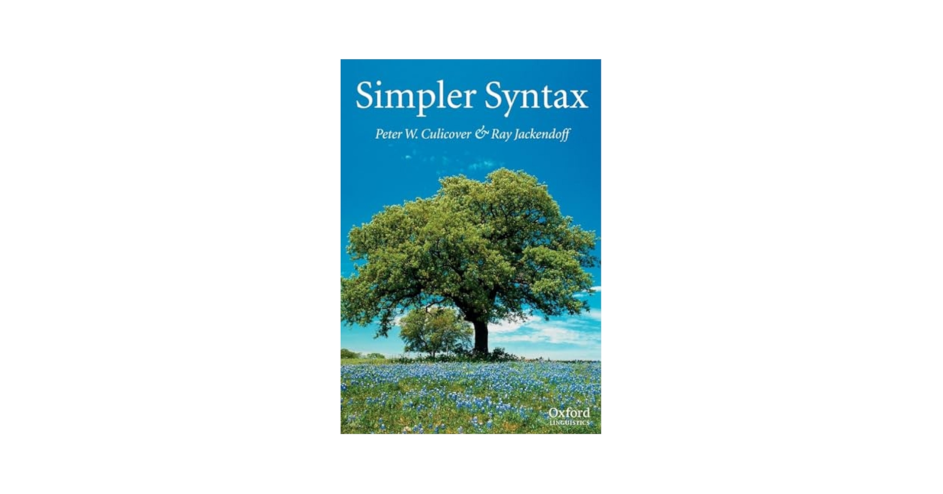 洋書 practical lexicography: a reader The Oxford Guide to Practical Lexicography - B. T. Sue