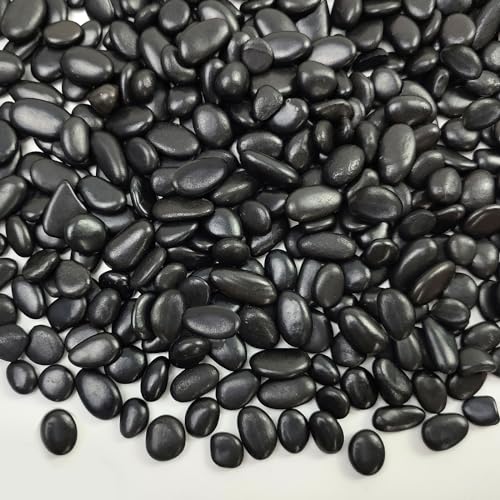 Image of FANTIAN 5 lbs Pebbles for Indoor Plants. 3 /8 inch Small Black Stones, Decorative Black River Rocks for Plant Outdoor, Vase, Landscaping and Garden