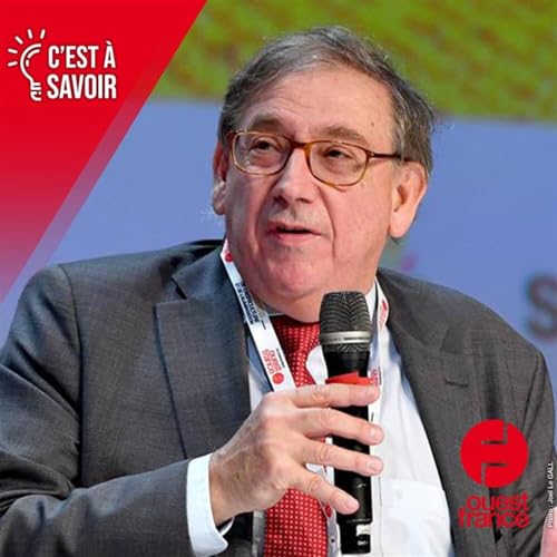 Page de couverture de Dans les coulisses de l’accord du Mercosur, entretien avec Jean-Luc Demarty