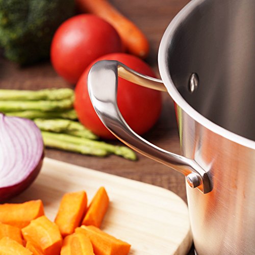 Homi Chef Large Heavy Ecological Nickel Free Stainless Steel Stock Pot 8Qt W/Lid (No Toxic Non Stick Coating, 5.1Lbs) - Induction Pot 8 Quart Cooking Pot Stew Pot 4 Soup Pot Dutch Oven Pot Casserole #TOP3