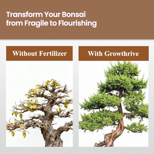 Fertilizante Líquido para Bonsái 300 ml Concentrado Orgánico miniatura 6
