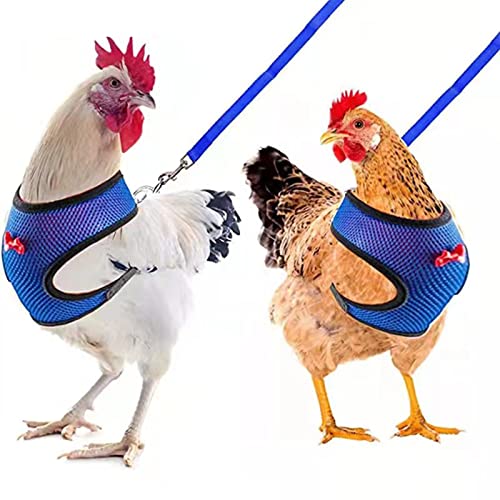 2 Stück Hühnergeschirr mit Leine, Verstellbares Hühner-Geschirr mit Leine, Atmungsaktiv Hühnerwestem, Trainingsgeschirr Haustiergeschirr für Huhn, Henne, Ente Oder Gans Lauftraining